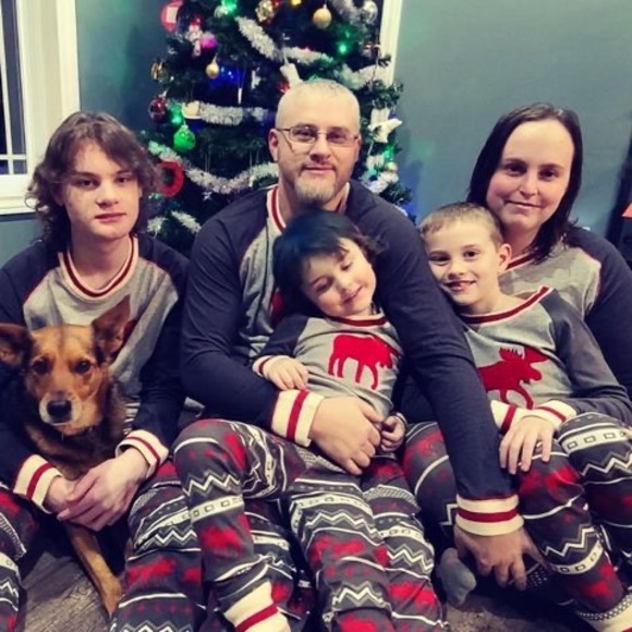 Meet your Posher, Daisy - Picture 1 of 1